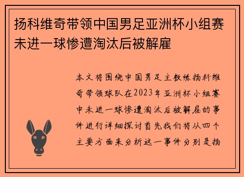 扬科维奇带领中国男足亚洲杯小组赛未进一球惨遭淘汰后被解雇